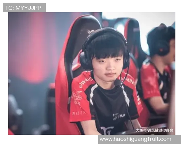 FPX挑战者杯之路：从辉煌到重生的转型故事探秘